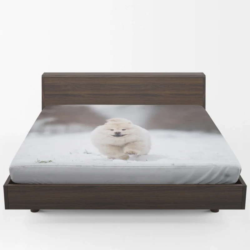 Winter Bauble: Chow Chow Puppies Fitted Sheet 1