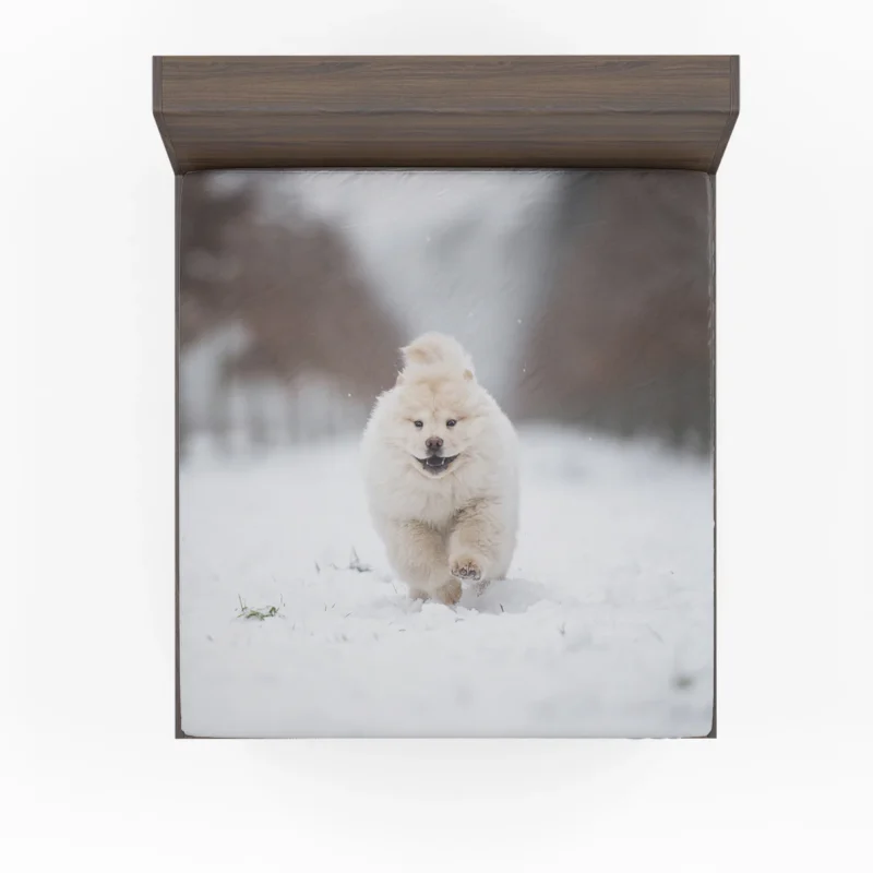 Winter Bauble: Chow Chow Puppies Fitted Sheet