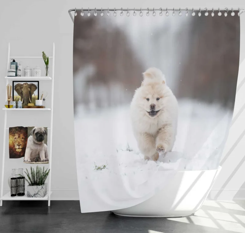 Winter Bauble: Chow Chow Puppies Shower Curtain