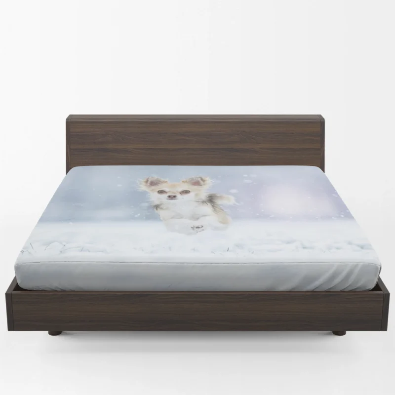 Winter Romp in Snowstorm: Chihuahua Quartet Fitted Sheet 1