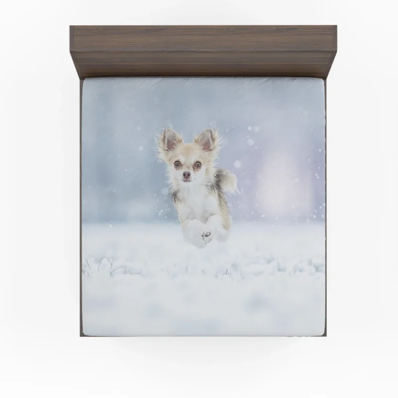 Winter Romp in Snowstorm: Chihuahua Quartet Fitted Sheet