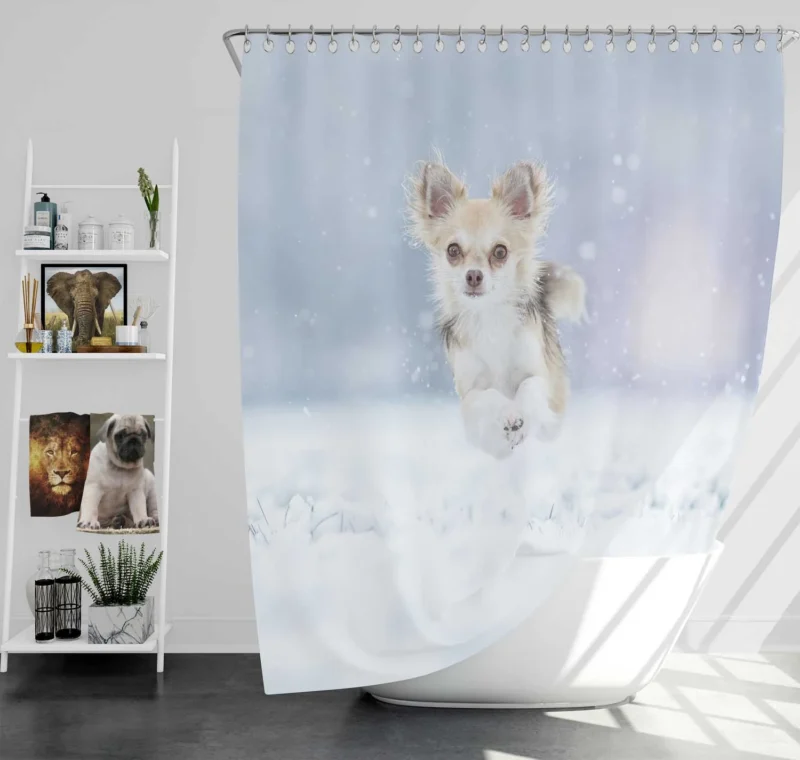 Winter Romp in Snowstorm: Chihuahua Quartet Shower Curtain