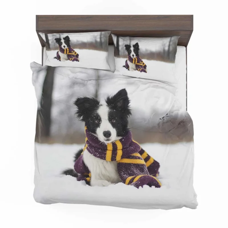 Winter Scarf Beauty with Depth Of Field: Border Collie Bedding Set 1
