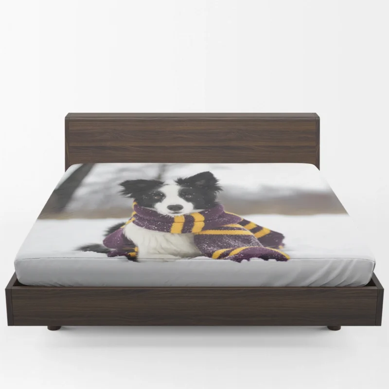 Winter Scarf Beauty with Depth Of Field: Border Collie Fitted Sheet 1