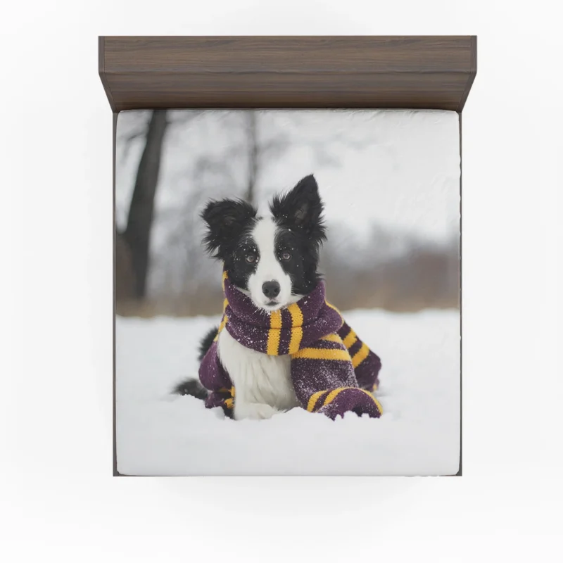 Winter Scarf Beauty with Depth Of Field: Border Collie Fitted Sheet