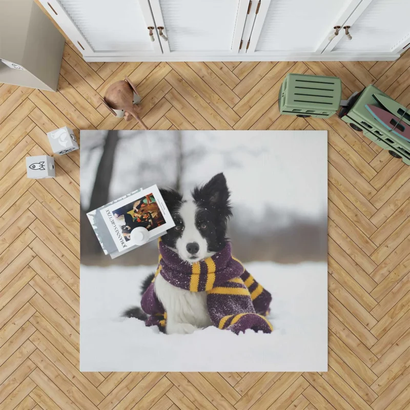 Winter Scarf Beauty with Depth Of Field: Border Collie Floor Rug