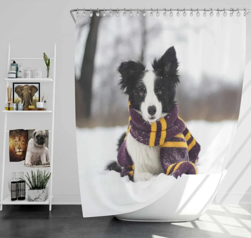 Winter Scarf Beauty with Depth Of Field: Border Collie Shower Curtain