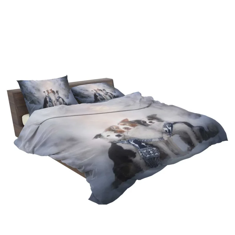 Winter Snow Beauty with Depth Of Field and Scarf: Border Collie Bedding Set 2