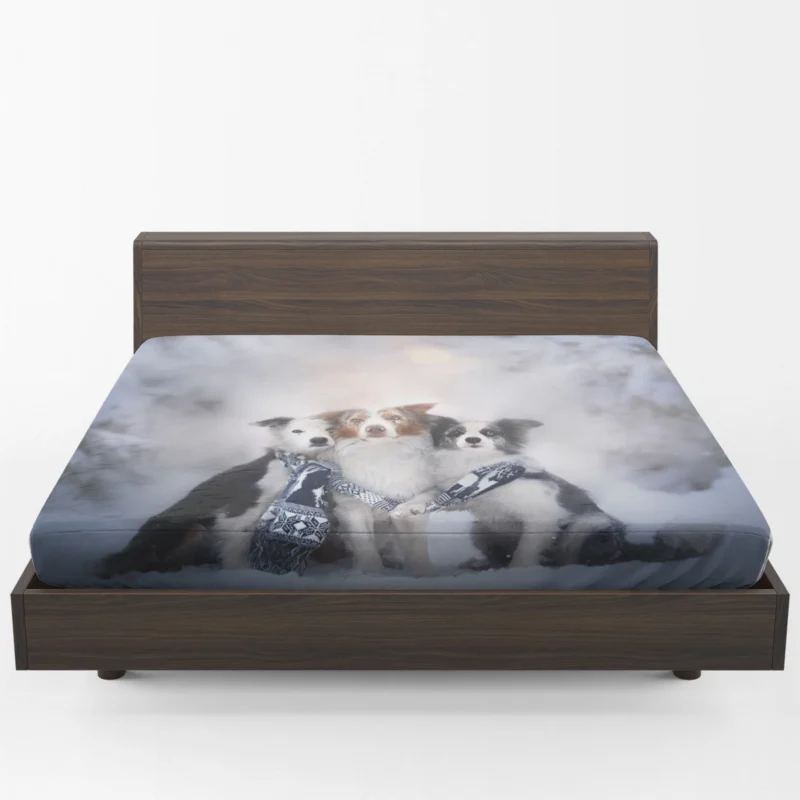 Winter Snow Beauty with Depth Of Field and Scarf: Border Collie Fitted Sheet 1