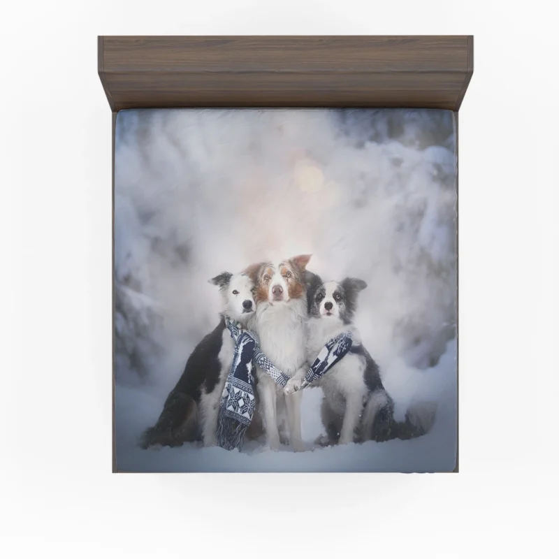 Winter Snow Beauty with Depth Of Field and Scarf: Border Collie Fitted Sheet