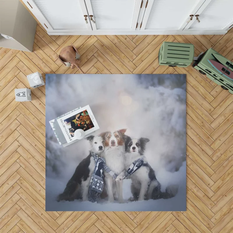 Winter Snow Beauty with Depth Of Field and Scarf: Border Collie Floor Rug