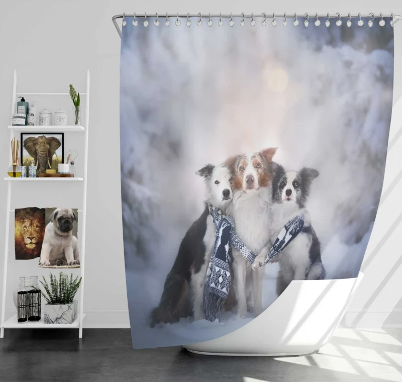 Winter Snow Beauty with Depth Of Field and Scarf: Border Collie Shower Curtain