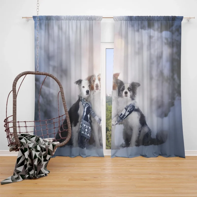 Winter Snow Beauty with Depth Of Field and Scarf: Border Collie Window Curtain