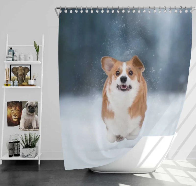 Winter Wonder: Corgi in Snow with Depth of Field Shower Curtain