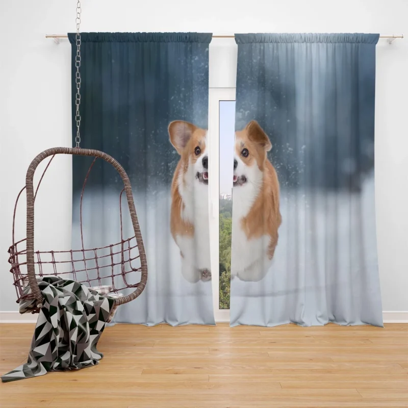 Winter Wonder: Corgi in Snow with Depth of Field Window Curtain