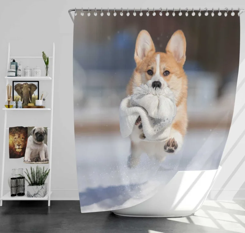 Winter Wonder: Corgi in Snow with Hat and Depth of Field Shower Curtain