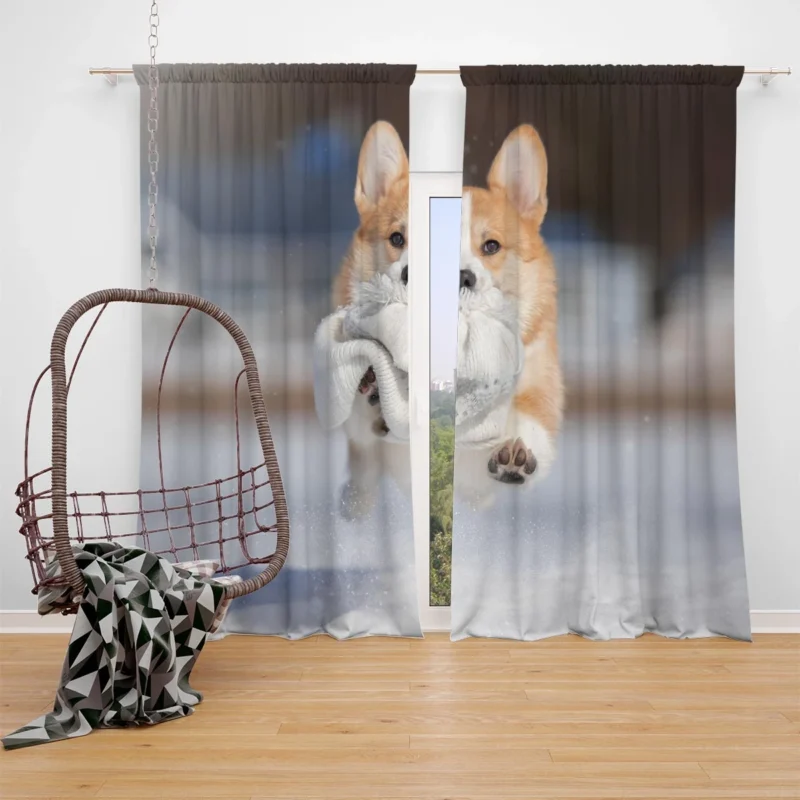 Winter Wonder: Corgi in Snow with Hat and Depth of Field Window Curtain