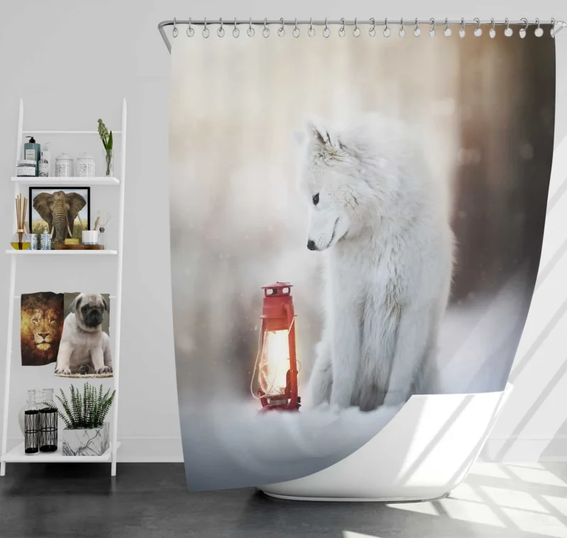 Winter Wonderland: Samoyed Quartet Shower Curtain