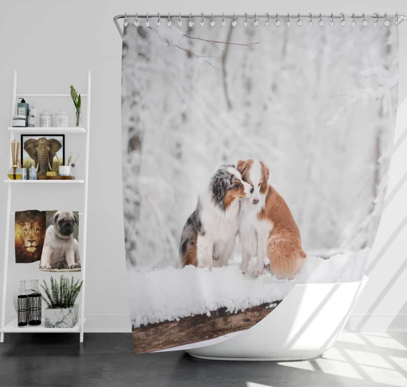 Winter Wonderland in the Snow: Australian Shepherd Shower Curtain