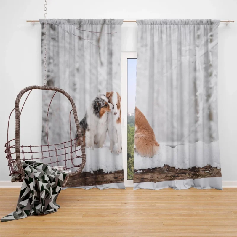 Winter Wonderland in the Snow: Australian Shepherd Window Curtain