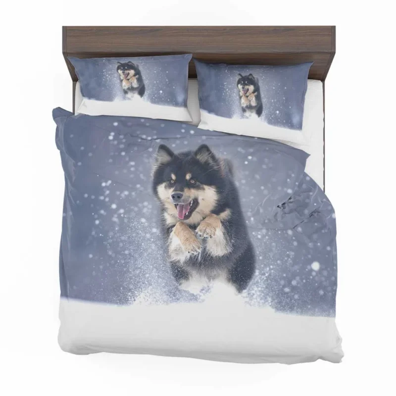 Winter Wonderland with Alaskan Malamute Quartet Bedding Set 1