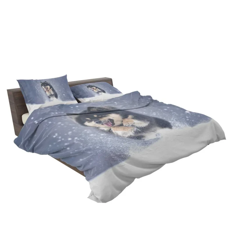 Winter Wonderland with Alaskan Malamute Quartet Bedding Set 2