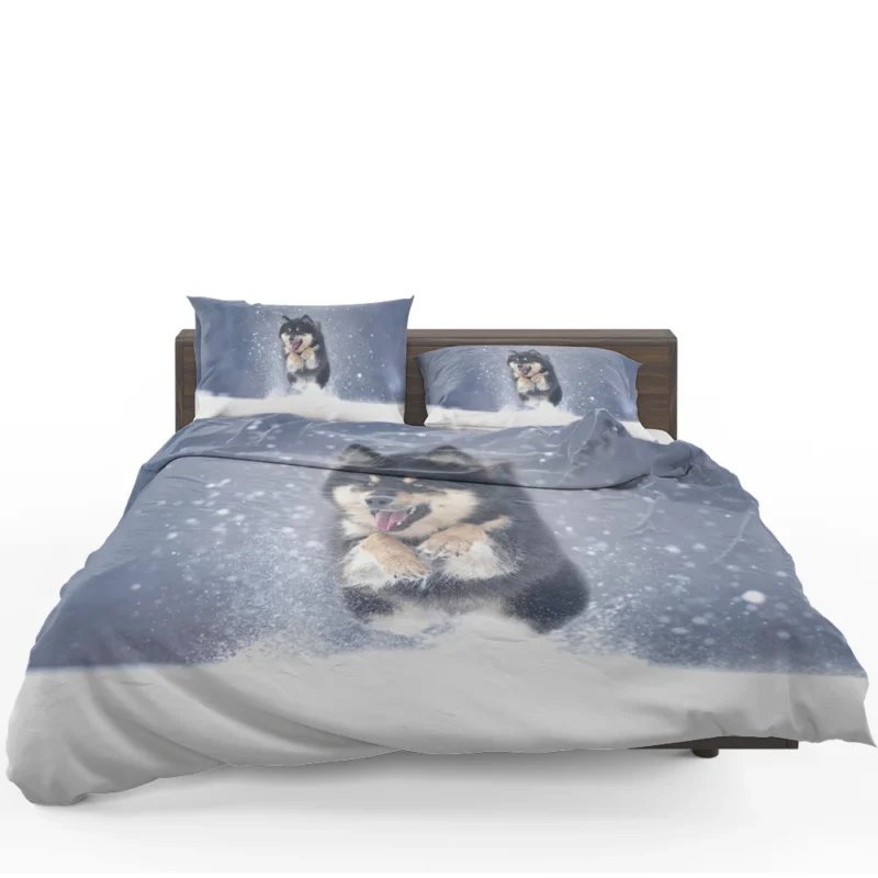 Winter Wonderland with Alaskan Malamute Quartet Bedding Set