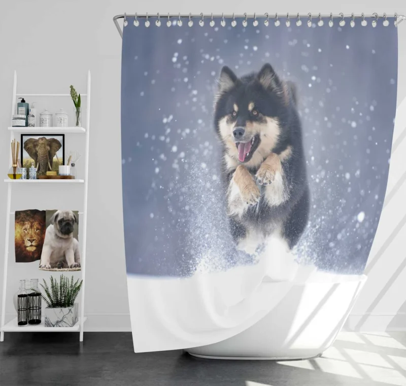 Winter Wonderland with Alaskan Malamute Quartet Shower Curtain