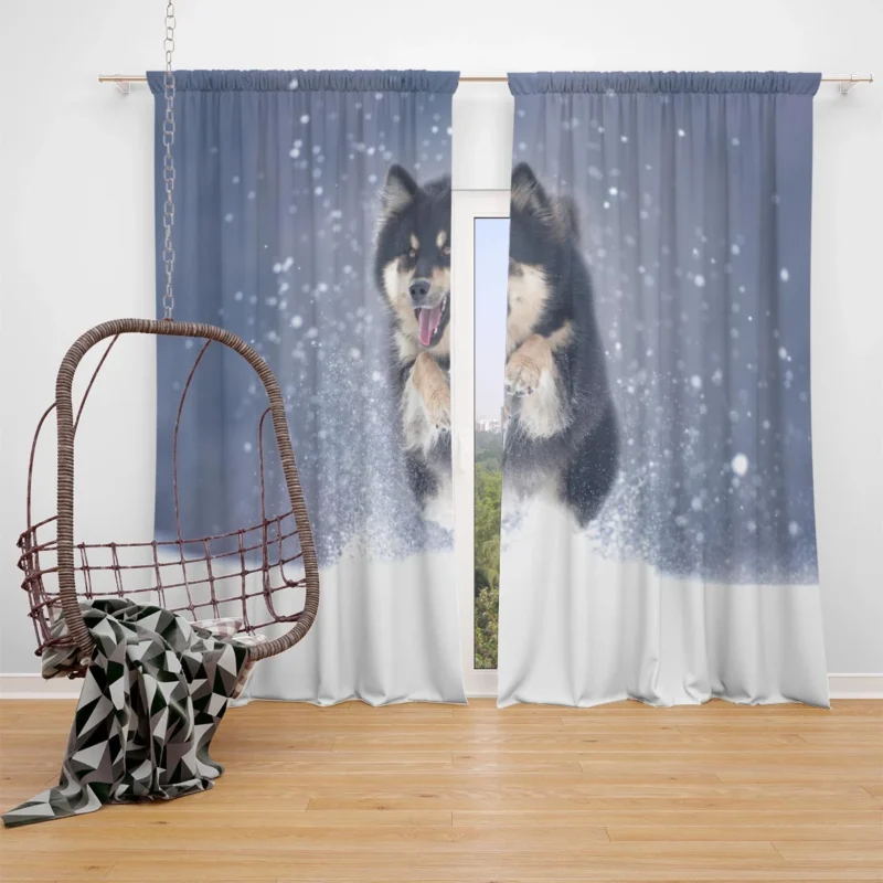 Winter Wonderland with Alaskan Malamute Quartet Window Curtain