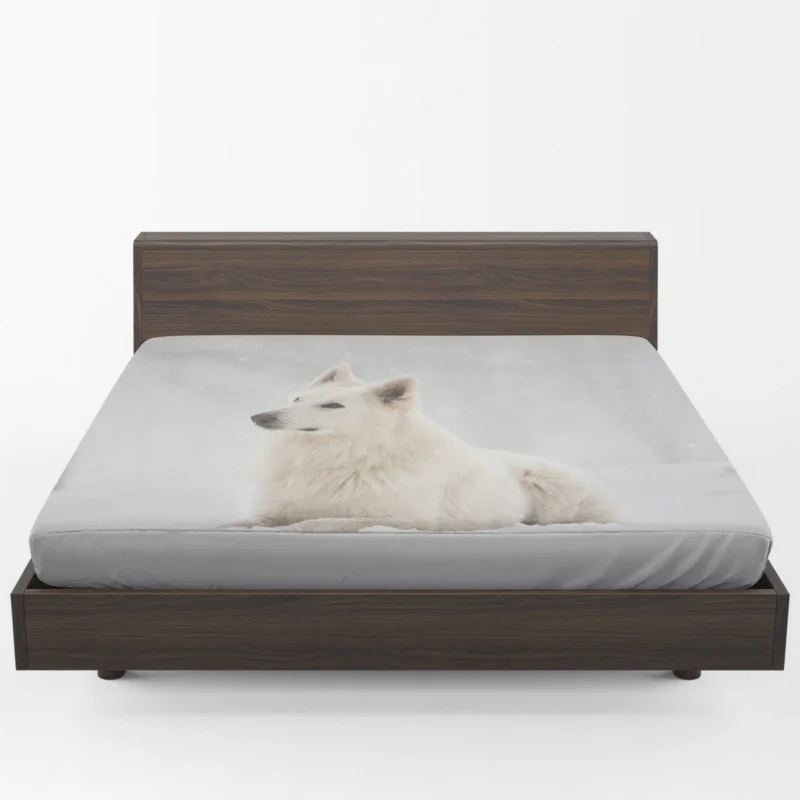 Winter Wonderland with Snowfall: Berger Blanc Suisse Fitted Sheet 1