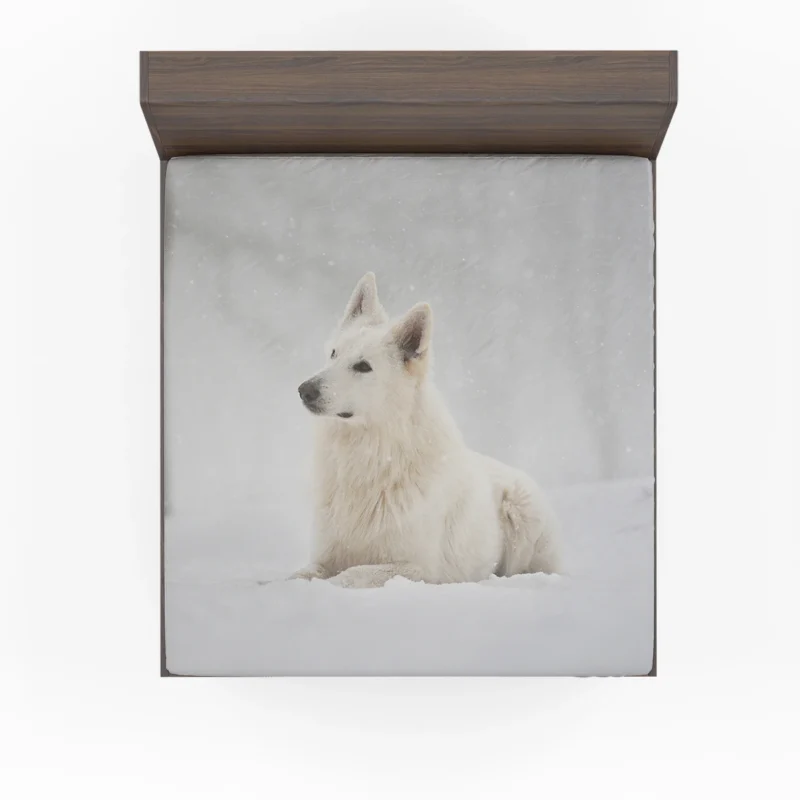 Winter Wonderland with Snowfall: Berger Blanc Suisse Fitted Sheet