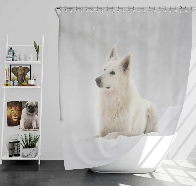 Winter Wonderland with Snowfall: Berger Blanc Suisse Shower Curtain