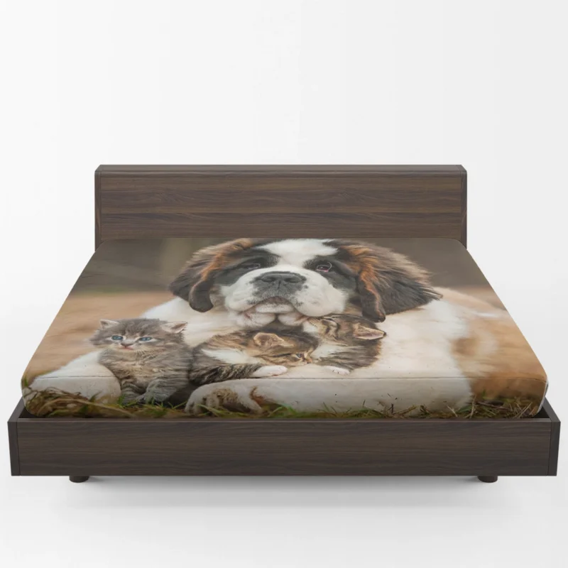 With a Playful Cat and Kitten: St. Bernard Fitted Sheet 1