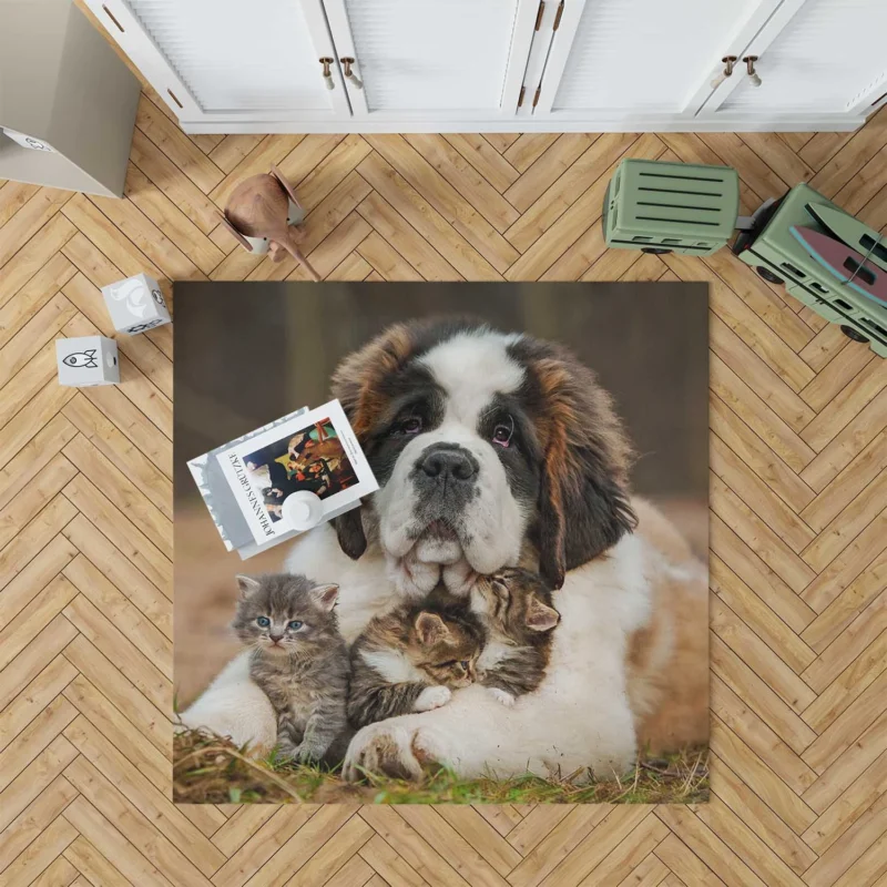 With a Playful Cat and Kitten: St. Bernard Floor Rug