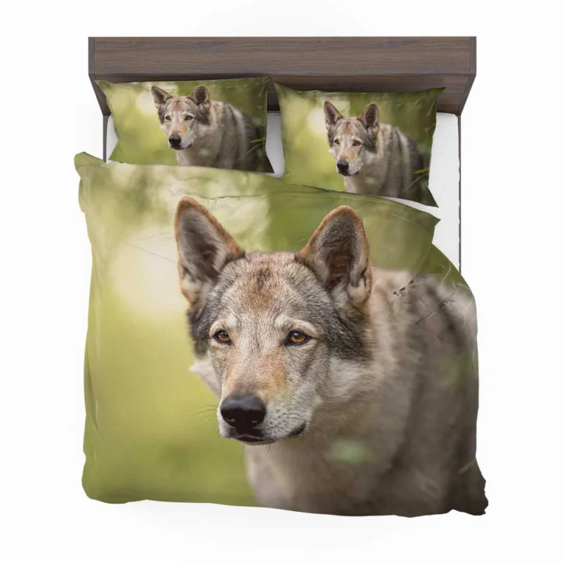 Wolfish Grace: Czechoslovakian Wolfdog Quartet Bedding Set 1