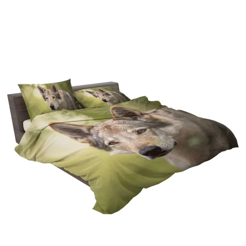 Wolfish Grace: Czechoslovakian Wolfdog Quartet Bedding Set 2