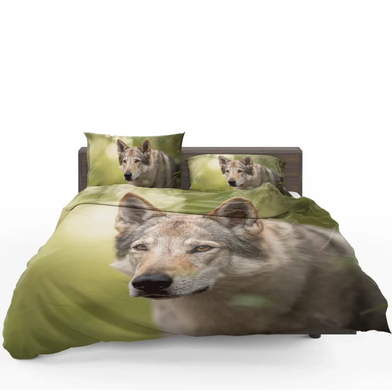 Wolfish Grace: Czechoslovakian Wolfdog Quartet Bedding Set