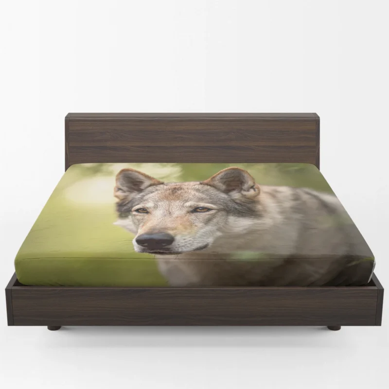 Wolfish Grace: Czechoslovakian Wolfdog Quartet Fitted Sheet 1