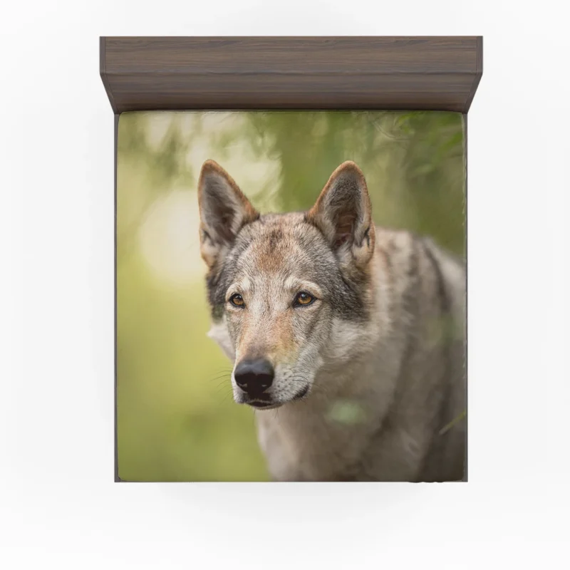 Wolfish Grace: Czechoslovakian Wolfdog Quartet Fitted Sheet