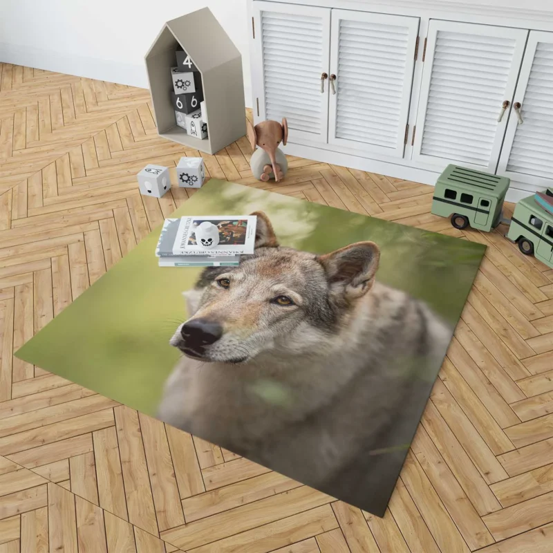 Wolfish Grace: Czechoslovakian Wolfdog Quartet Floor Rug 1