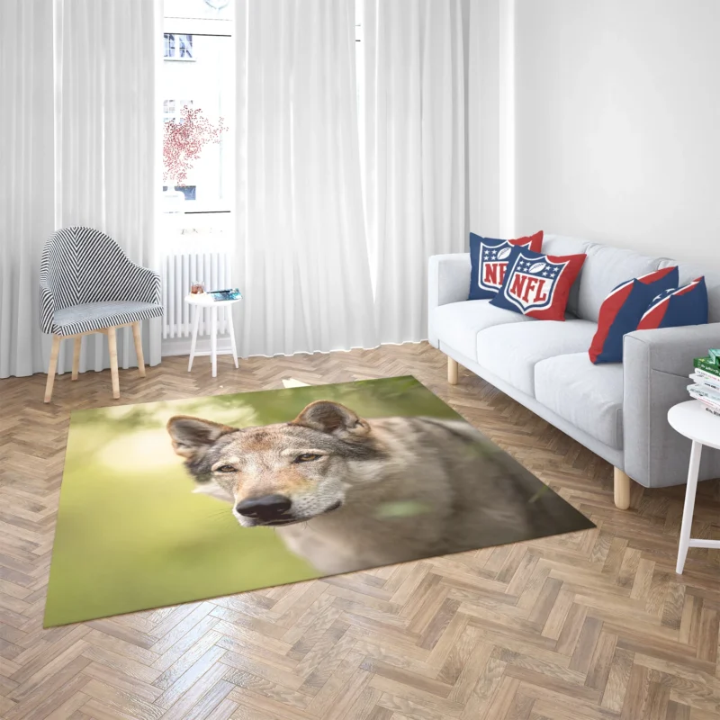 Wolfish Grace: Czechoslovakian Wolfdog Quartet Floor Rug 2