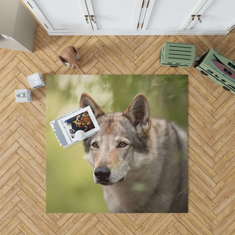 Wolfish Grace: Czechoslovakian Wolfdog Quartet Floor Rug