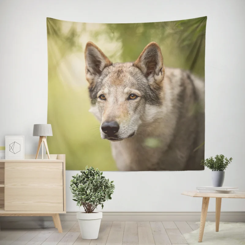 Wolfish Grace  Czechoslovakian Wolfdog Quartet Wall Tapestry