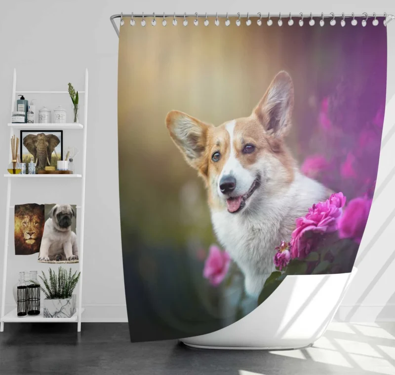 Wonderful Fourfold Corgi Elegance Quartet Shower Curtain