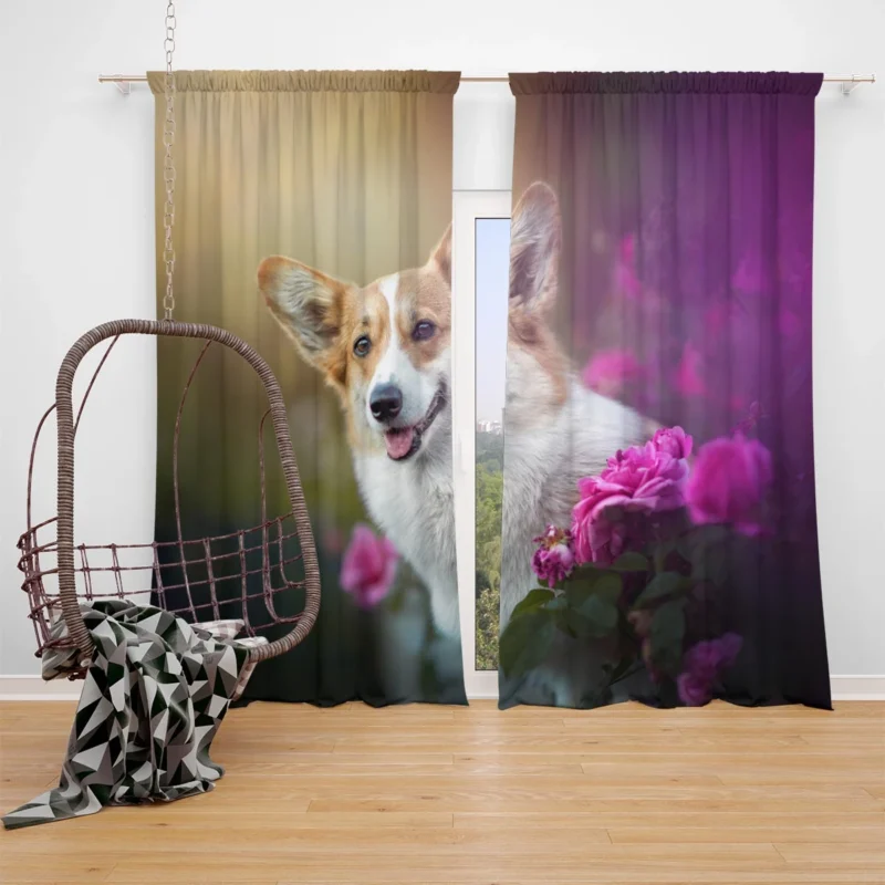 Wonderful Fourfold Corgi Elegance Quartet Window Curtain