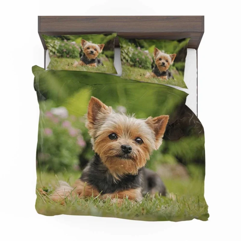 Yorkshire Terrier Charm in the Grass: Cute Yorkie Bedding Set 1