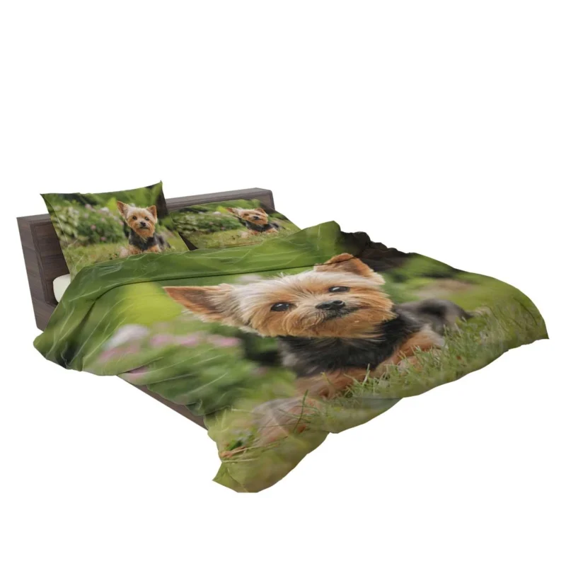 Yorkshire Terrier Charm in the Grass: Cute Yorkie Bedding Set 2