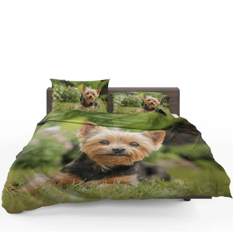 Yorkshire Terrier Charm in the Grass: Cute Yorkie Bedding Set