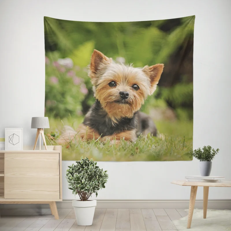 Yorkshire Terrier Charm in the Grass  Cute Yorkie Wall Tapestry