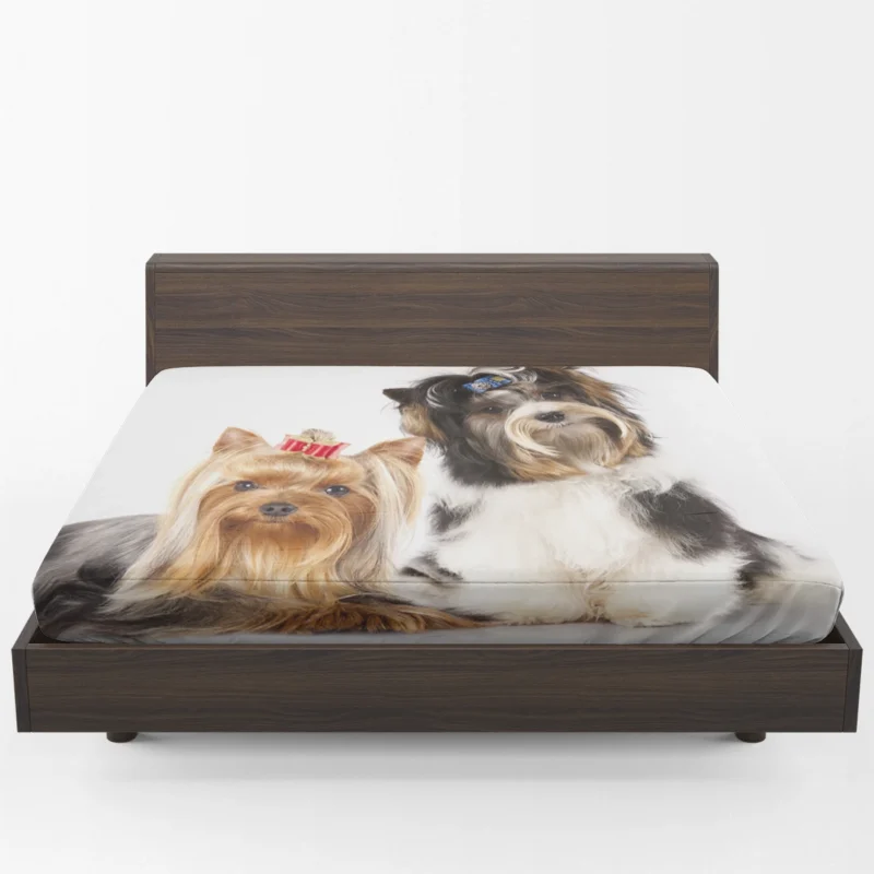 Yorkshire Terrier Loveliness: Cute Yorkies Fitted Sheet 1